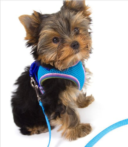 LIL PALS Comfort Mesh Harness - Xs - Orchid