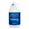 Ancient Minerals PURE Ultra Magnesium Oil Spray with OPT MSM - 64oz Bottle