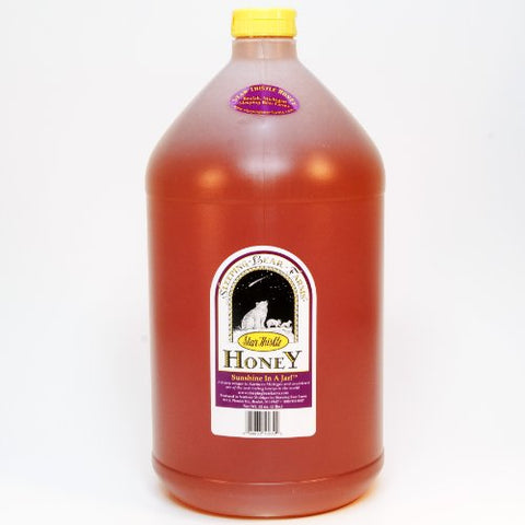 Star Thistle Honey 12 Lb Jug - Gallon