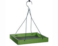 Going Green Platform Feeder - Green