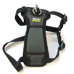 WALK RIGHT Padded Front Harness - Black Small