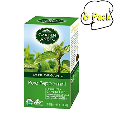 Chilean Garden of the Andes Organic Tea Peppermint Organic Tea - 20 Bags/box