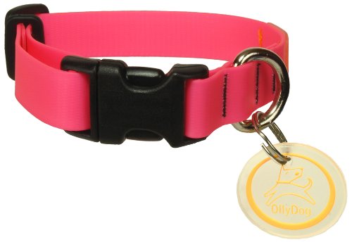 Tilden Collar & Leash  Medium Pink