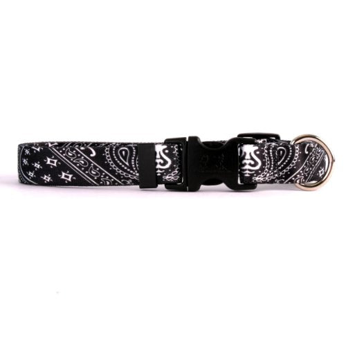 Black Bandana Collection - Cat Collar