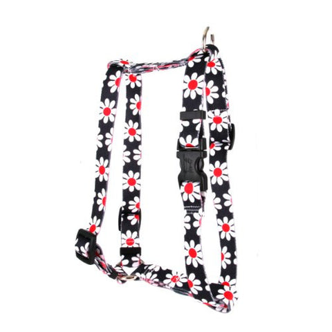 Black Daisy Collection - Sm/Med Std. Harness