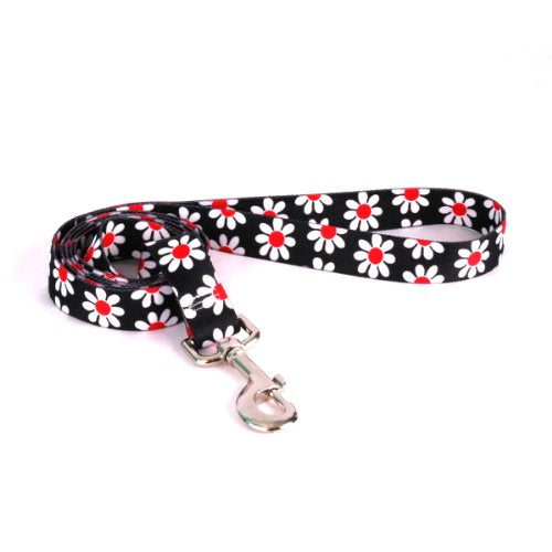 Black Daisy Collection - Lead, Medium