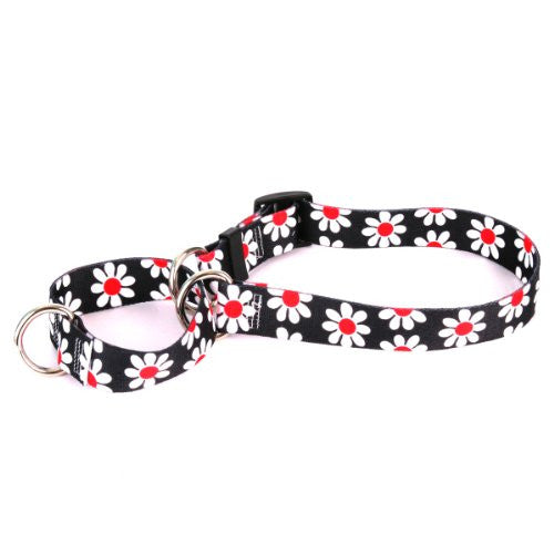 Black Daisy Collection - Martingale Pet Collar, Medium