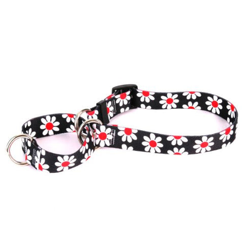 Black Daisy Collection - Martingale Pet Collar, Medium
