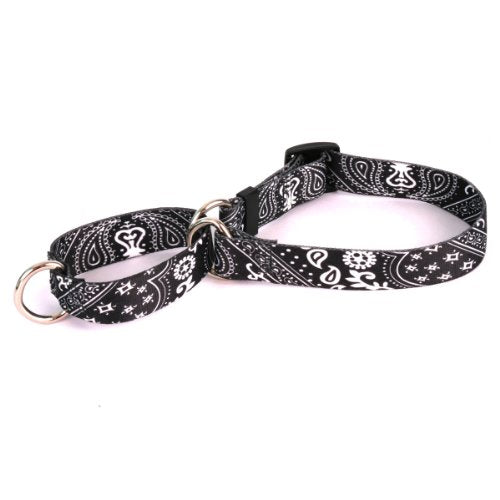 Black Bandana Collection - Martingale Pet Collar, Small