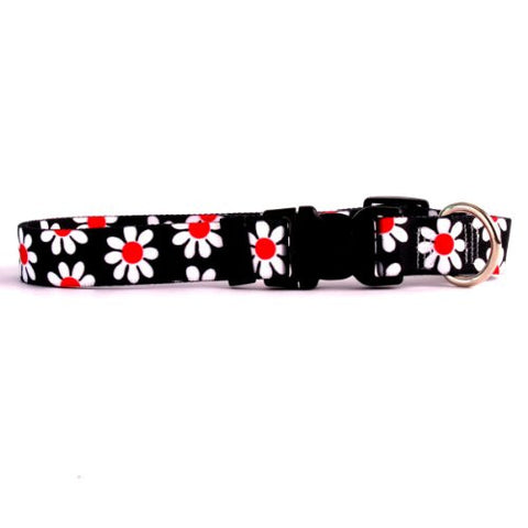 Black Daisy Collection - Pet Collar, Medium