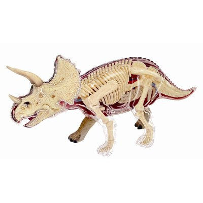 4D Vision Triceratops