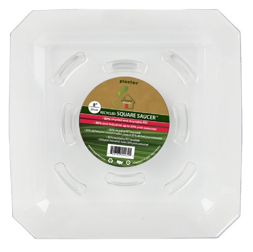 PLASTEC SQR08 SQUARE RECYCLED SAUCER 8"