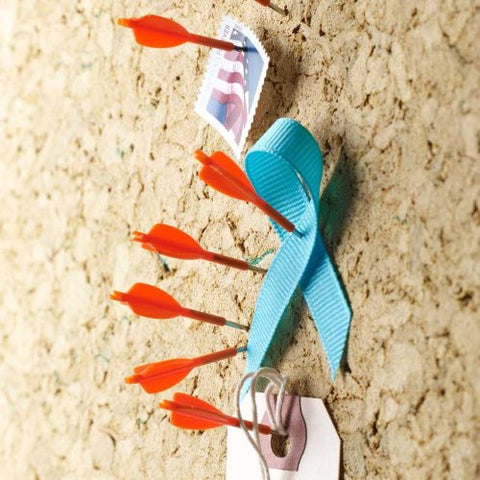 Design Ideas Archery Push Pins, Set of 8 Orange Arrows
