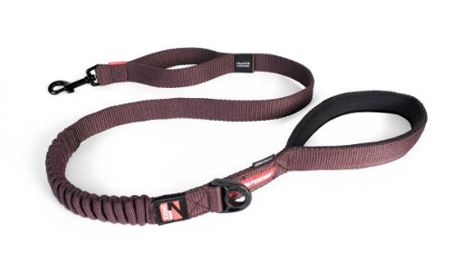 Zero Shock Leash - Chocolate, 48"