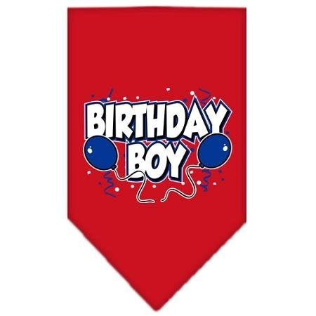 Birthday Boy Screen Print Bandana - Red, Large