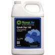 Quickdip 100 - 1 Gallon - each