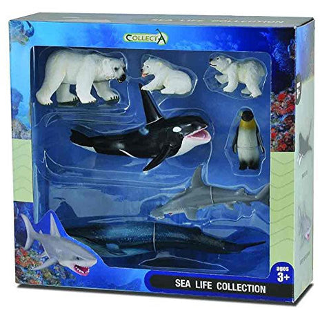 7pcs Sea Life Window Boxed Set, WB