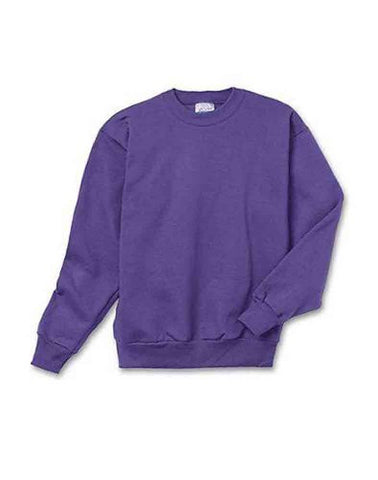 Hanes Youth ComfortBlend Long Sleeve Fleece Crew - p360 (Purple / X-Small)