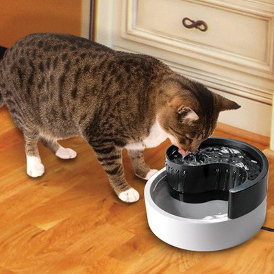 Plastic Fountain- Fung Shui Style