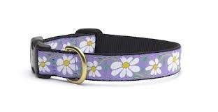 Up Country Collar - Daisy, X-Large