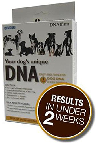DNA My Dog Breed ID Test Kit