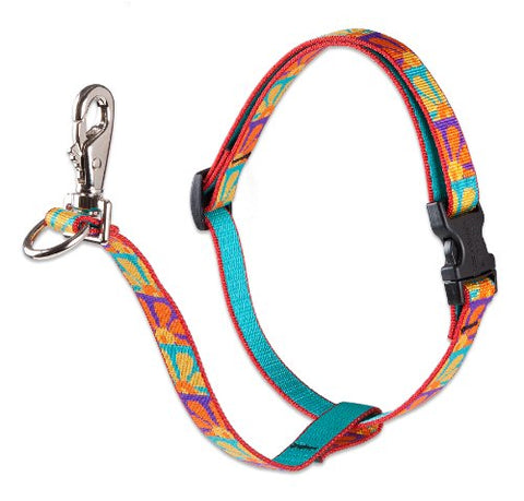 Lupine 3/4" Originals Collection - Crazy Daisy, 16"-26" No-Pull Harness