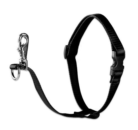 Lupine 3/4" Basics Collection - Black, 16"-26" No-Pull Harness
