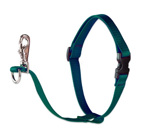 Lupine 3/4" Basics Collection - Green, 16"-26" No-Pull Harness