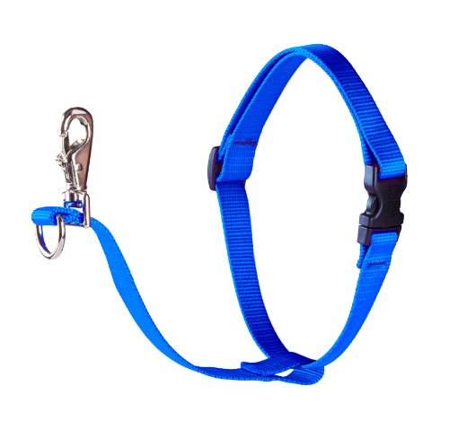 Lupine 3/4" Basics Collection - Blue, 16"-26" No-Pull Harness