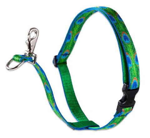 Lupine 1" Originals Collection - Tail Feathers, 26"-38" No Pull Harness