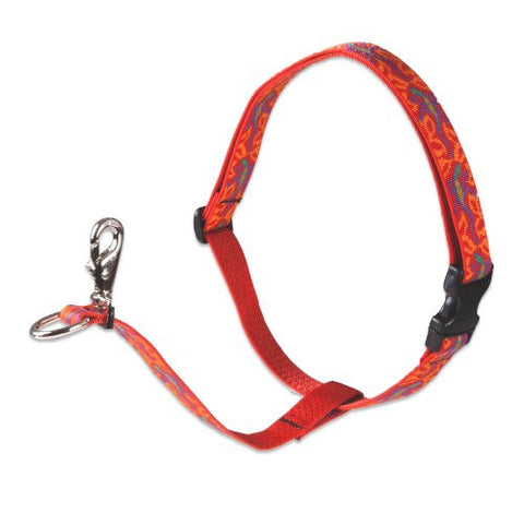 Lupine 1" Originals Collection - Go Go Gecko, 26"-38" No Pull Harness