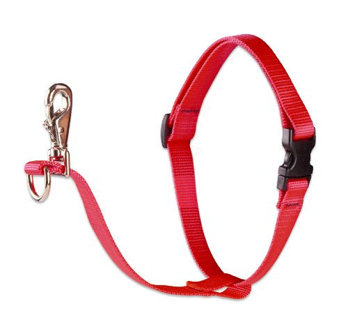 Lupine 1" Basics Collection - Red, 26"-38" No Pull Harness