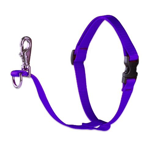 Lupine 1" Basics Collection - Purple, 26"-38" No Pull Harness
