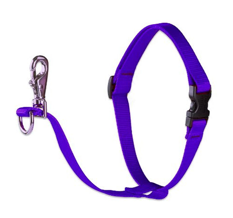 Lupine 1" Basics Collection - Purple, 26"-38" No Pull Harness