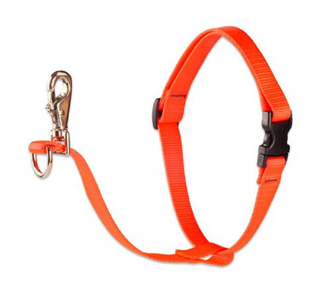 Lupine 1" Basics Collection - Blaze Orange, 26"-38" No Pull Harness