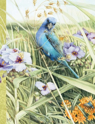 ADDRESS BOOKS - Nature’s Journal