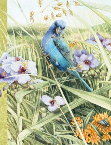 ADDRESS BOOKS - Nature’s Journal