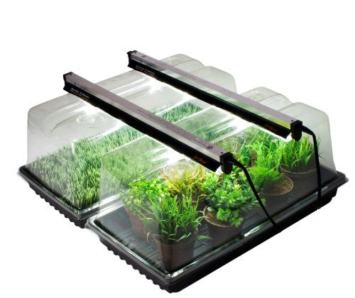 Mini Greenhouse - Kit