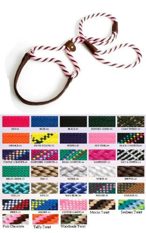 Mendota Dog Walker 3/8" x 4' - Purple