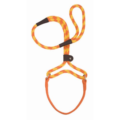 Mendota Dog Walker 3/8" X 6' - Amber