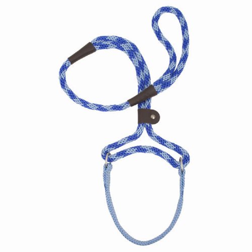 Mendota Dog Walker 3/8" X 6' - Sapphire