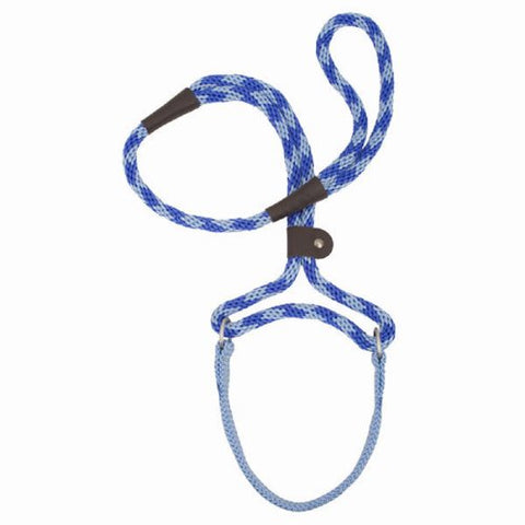Mendota Dog Walker 3/8" X 6' - Sapphire