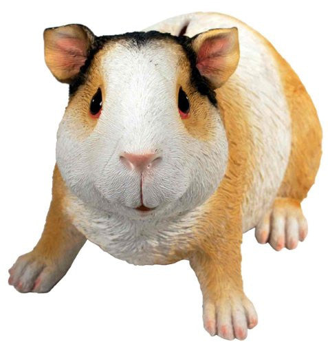 Guinea Pig Money Bank