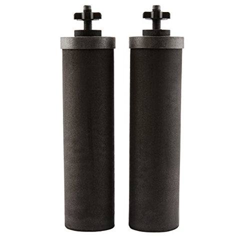 Black Berkey Purification Elements - two pack and priming button