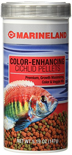 MARINELAND 5.19OZ CICHLID COLOR FOOD
