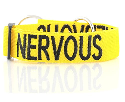 Friendly Dog Collars- Nervous Semi Choke Collar 18-28" x 1.5"