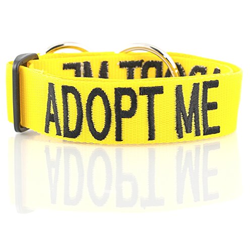 Friendly Dog Collars- Adopt Me Semi Choke Collar 18-28" x 1.5"