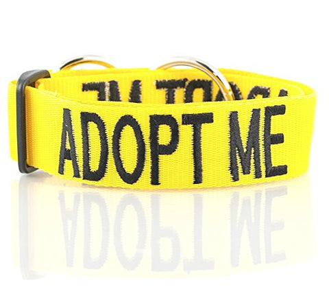 Friendly Dog Collars- Adopt Me Semi Choke Collar 18-28" x 1.5"