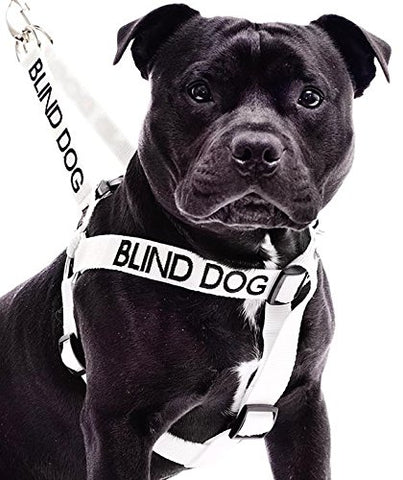 Friendly Dog Collars- Blind Dog Strap Harness 23"-36"