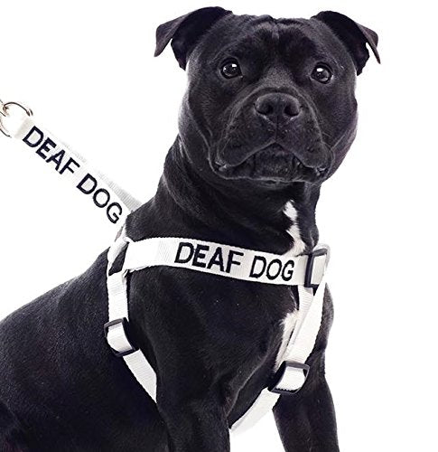 Friendly Dog Collars- Deaf Dog Strap Harness 23"-36"